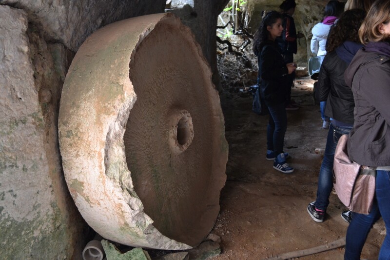 polo_liceale_a_masseria_spina