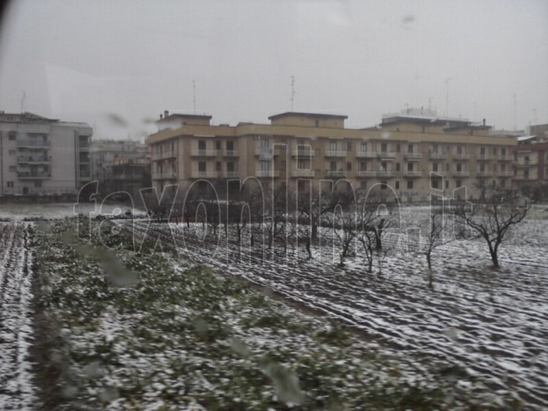 neve_a_Gioia-0_3