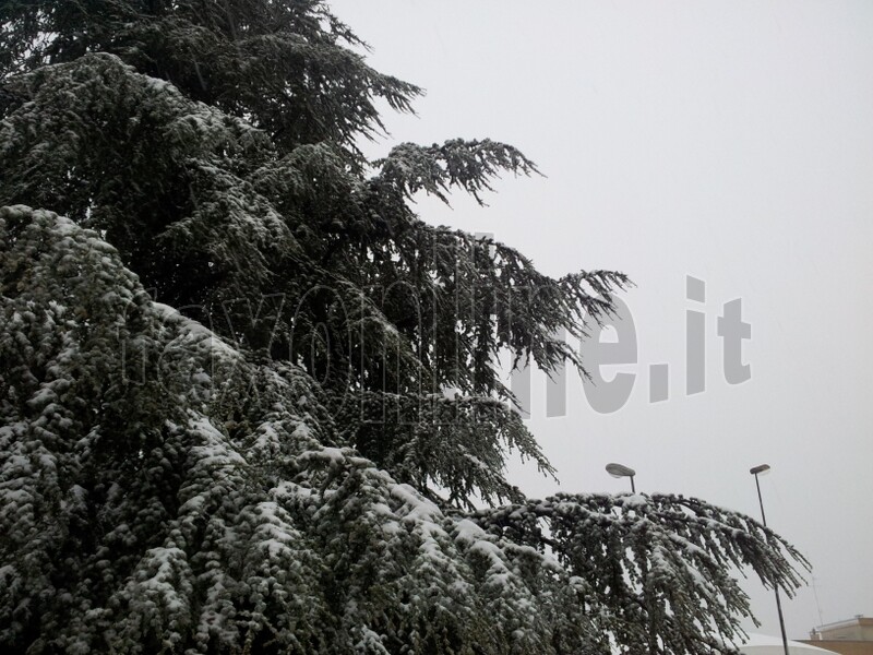 neve_a_PUTIGNANO_0_3