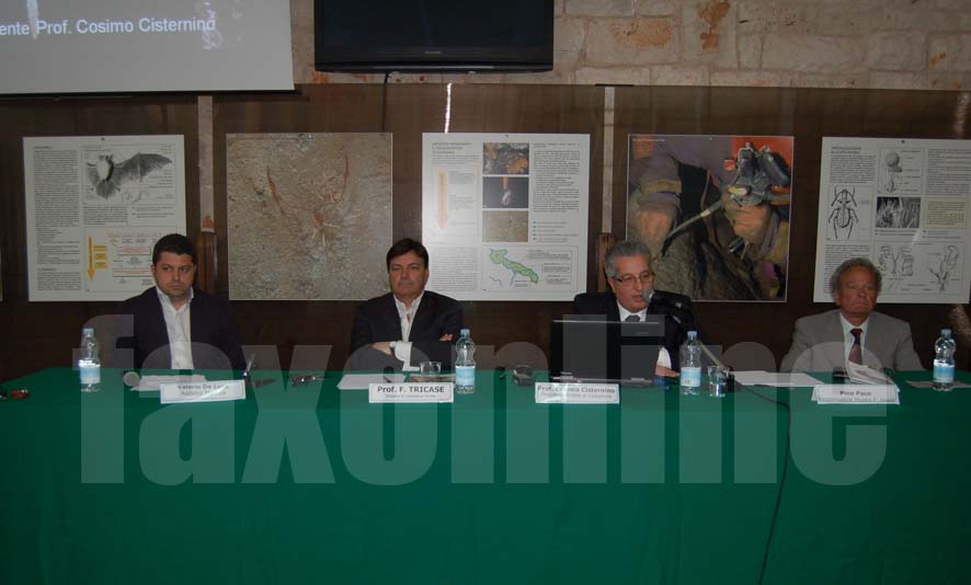 conferenza_Grotte