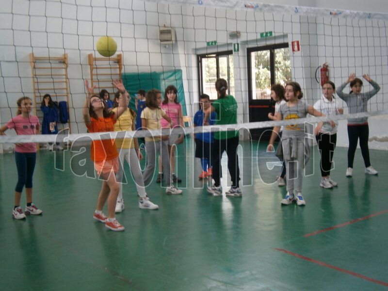 minivolley