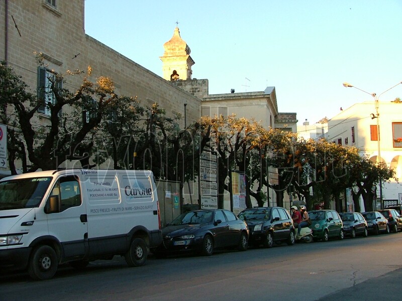 alberi_capitozzati_in_piazza_2012