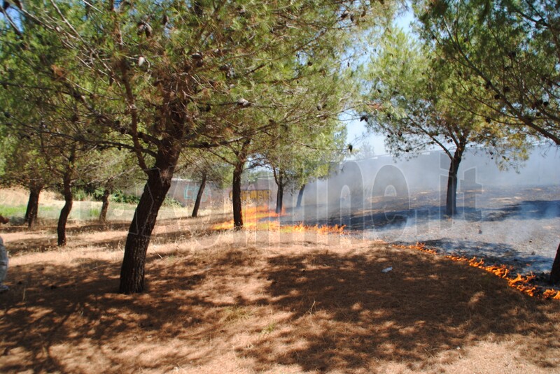 incendiopinetamonopoli (10)