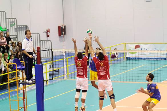 team_volley_joya