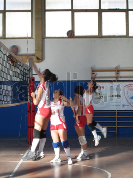 volley_8