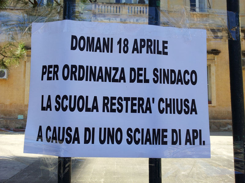 asilo_chiuso_per_sciame_api