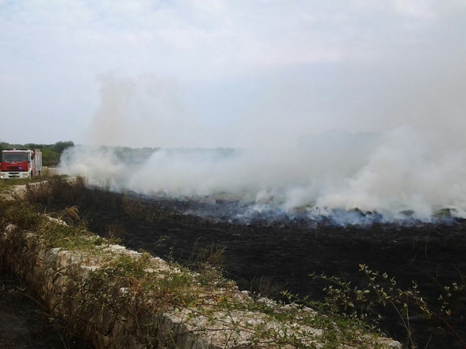 castiglione incendio