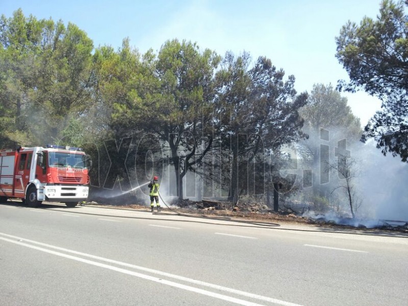 incendio Monte Laureto