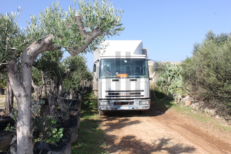 bus e camion rubati 2