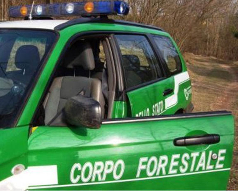 corpo-forestale2