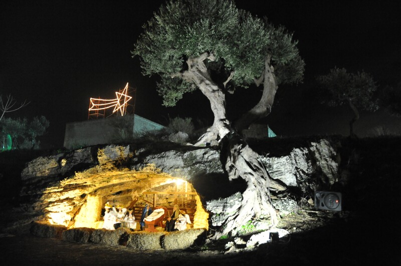 Grotta Albero