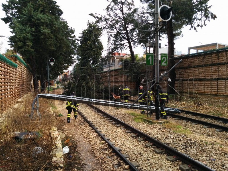 albero caduto stazione