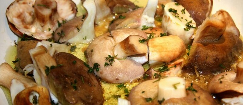 funghi porcini stufati