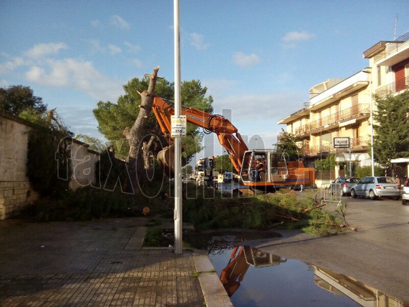 pista ciclabile-via accolti gil