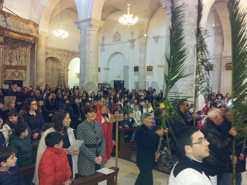 Palme Polignano