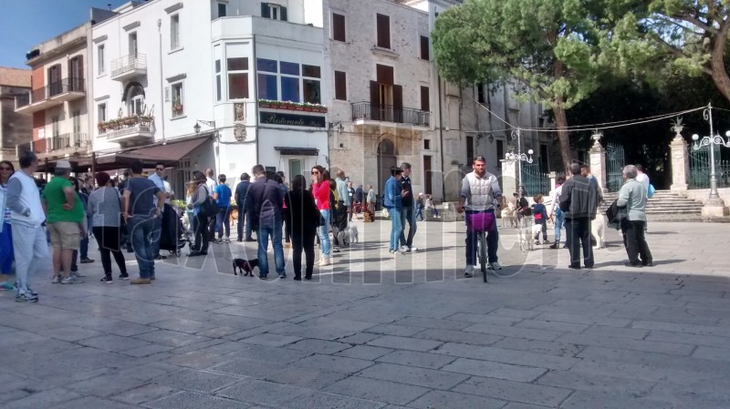 manifestazione canina CONV