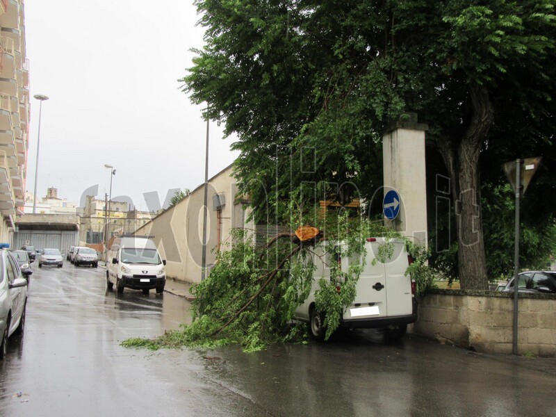 ramo spezzato su auto-put 2