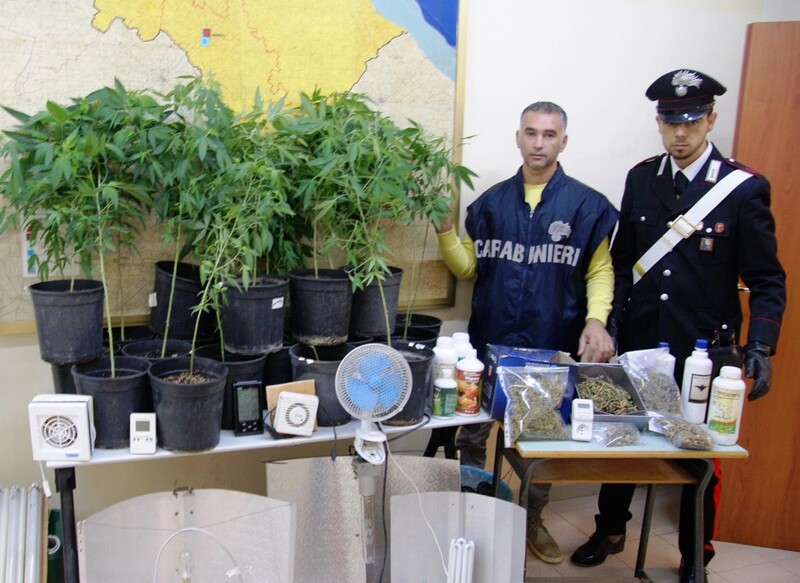 coltivava marijuana nella sua abitazione-14.10