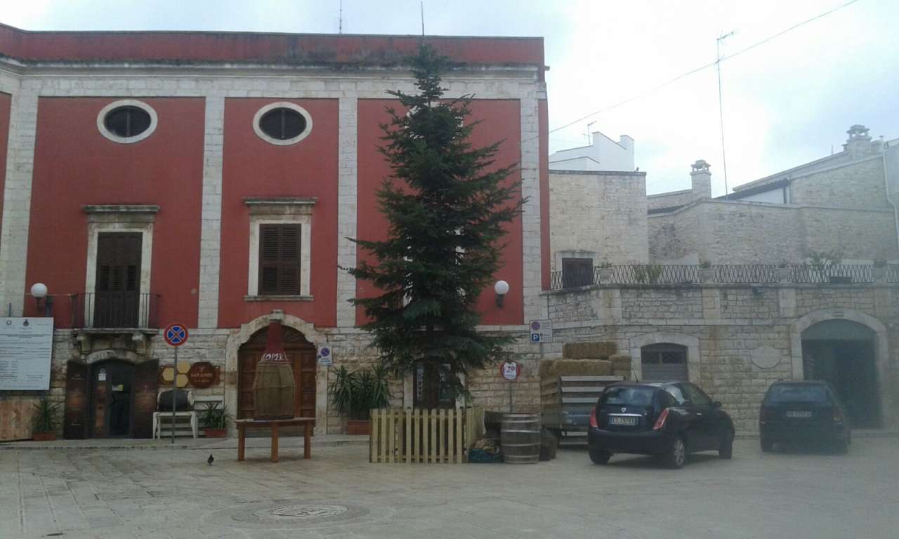 albero natale