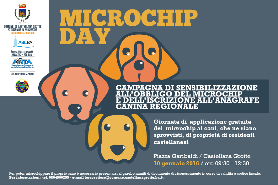 cartolina-microchip-day