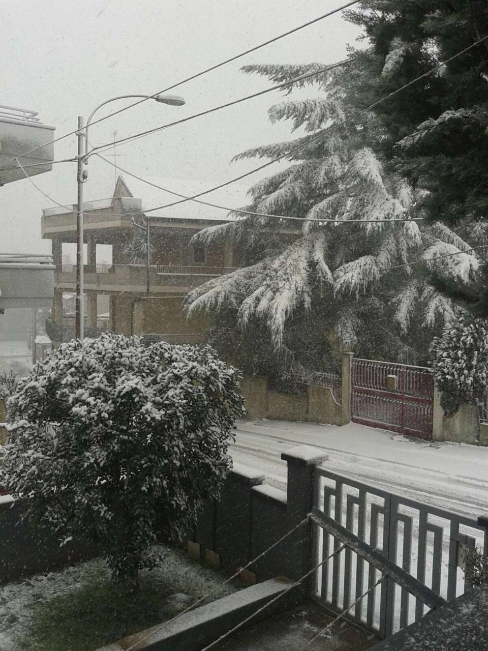 neve santeramo