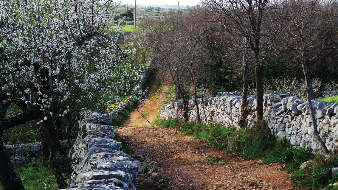 trail masseria torricella