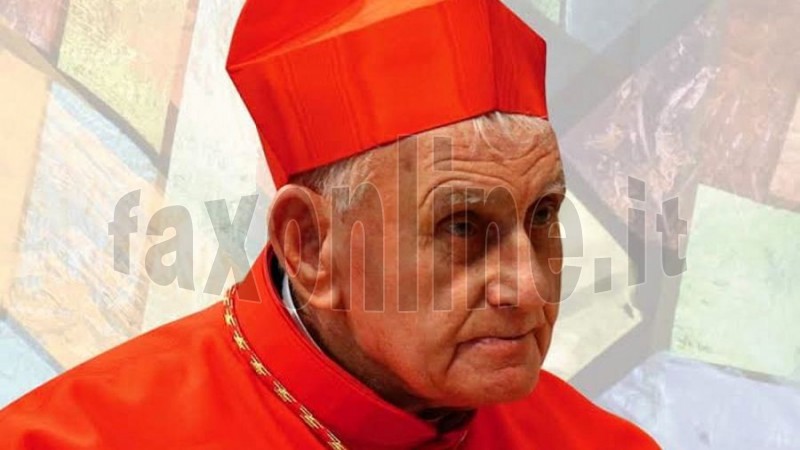 cardinale simoni