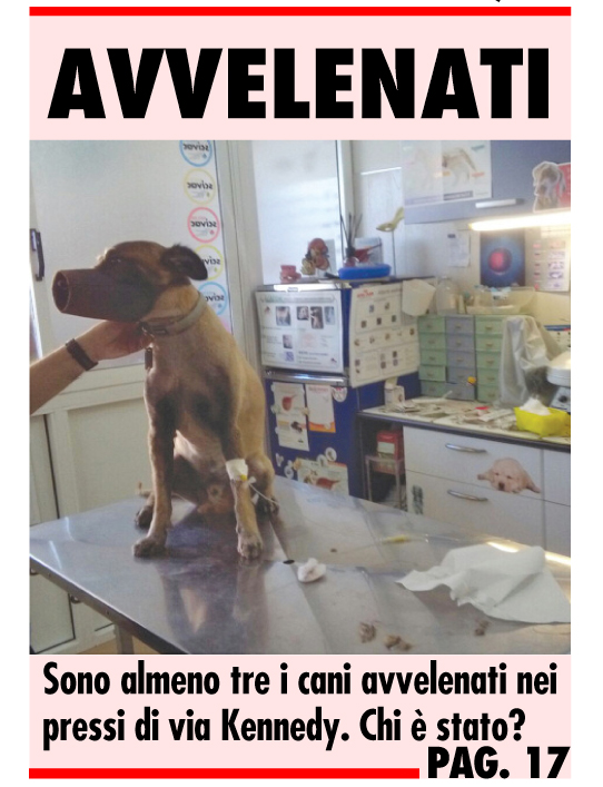 cani avvelenati