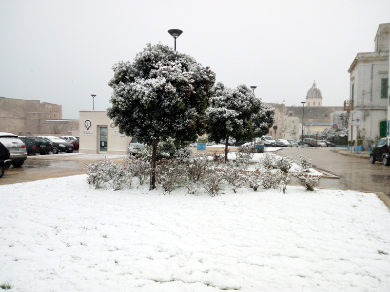 NEVE monopoli