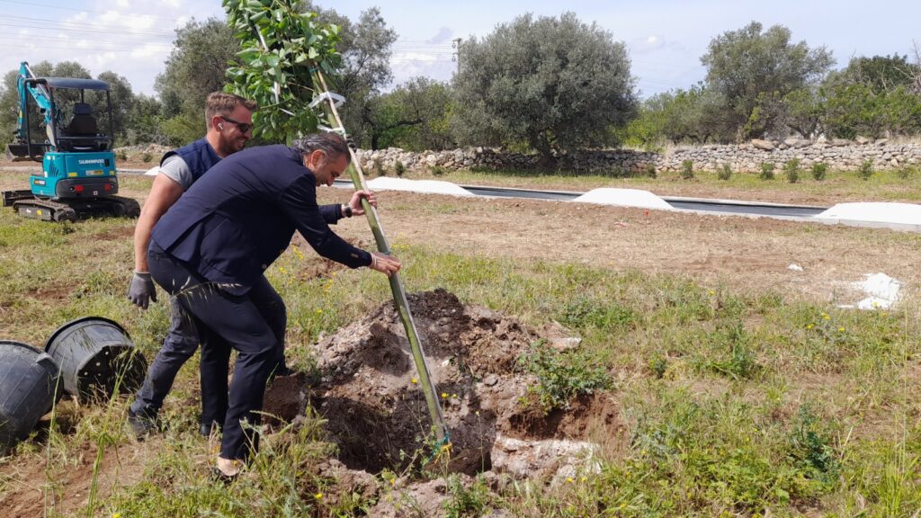 Monopoli, via Antonelli. Il sindaco pianta un albero