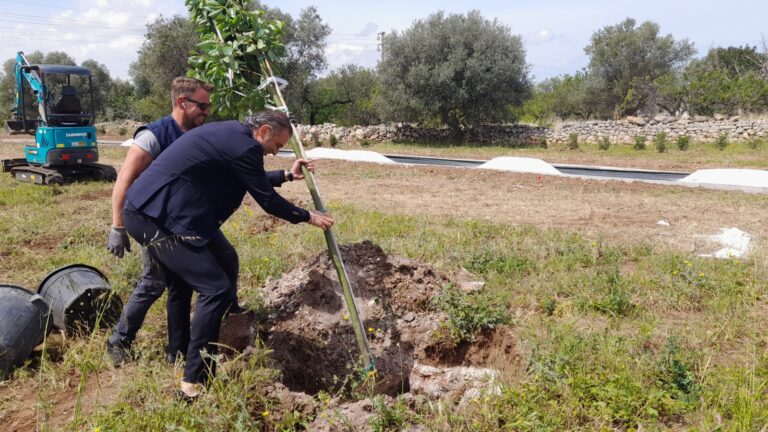 Monopoli, via Antonelli. Il sindaco pianta un albero