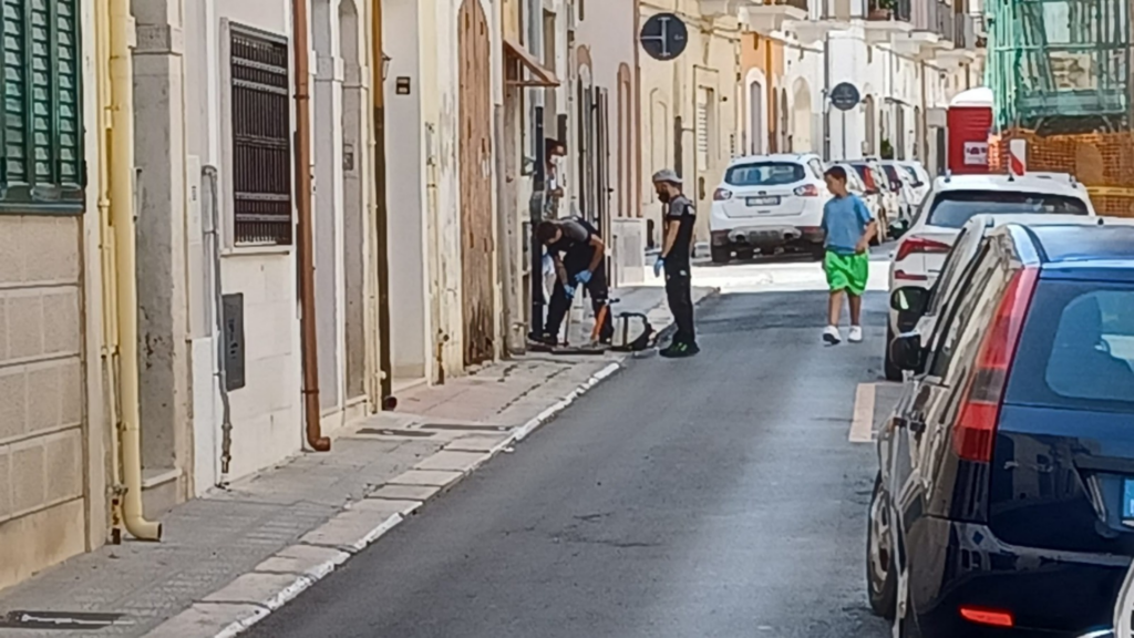 Invasione di blatte a Mola, una famiglia costretta a pagare la disinfestazione