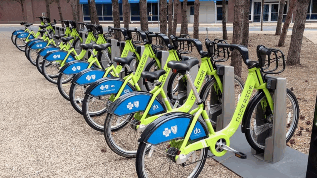 Bike sharing, Turi